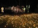 Toledo Zoo Lights 2008 050
